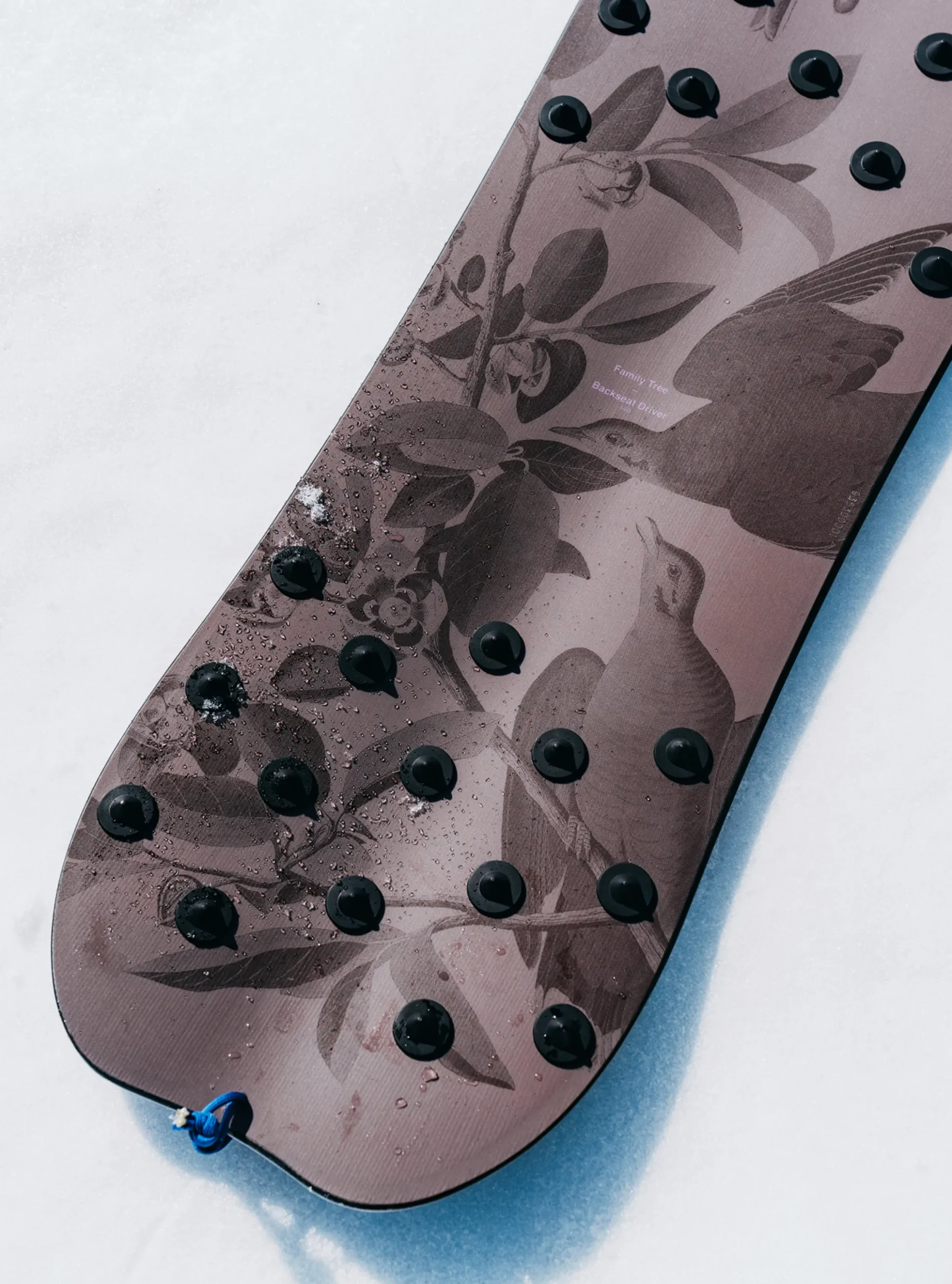 Burton Family Tree Backseat Driver Pow Surfing Snowboard