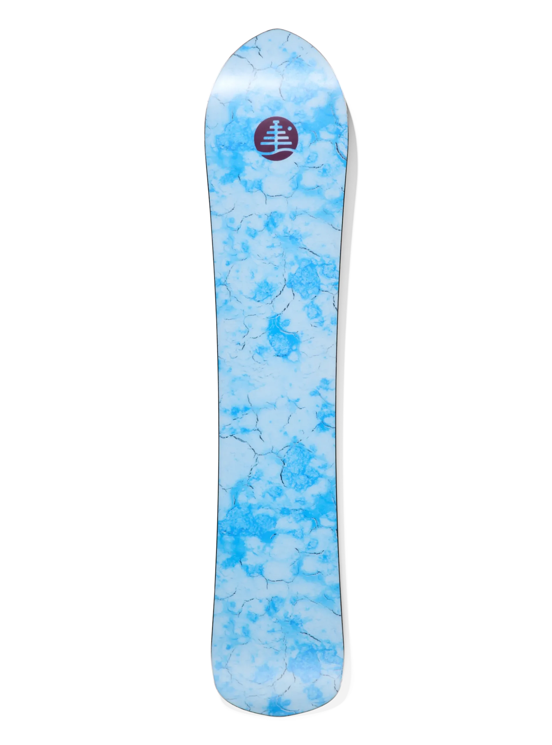 Burton Family Tree Sketch Artist Camber Snowboard