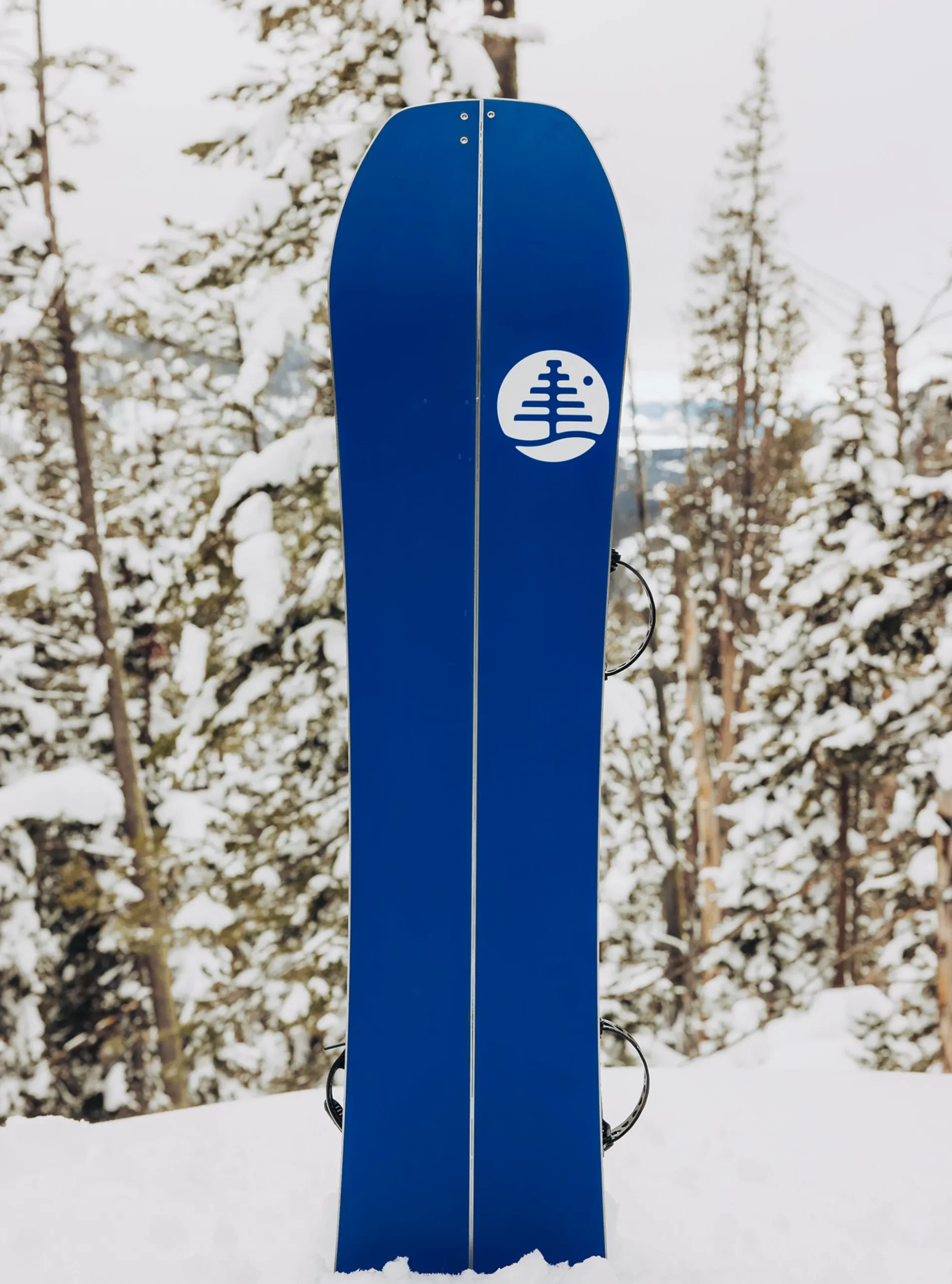 Family Tree Hometown Hero Smalls Splitboard für Kinder
