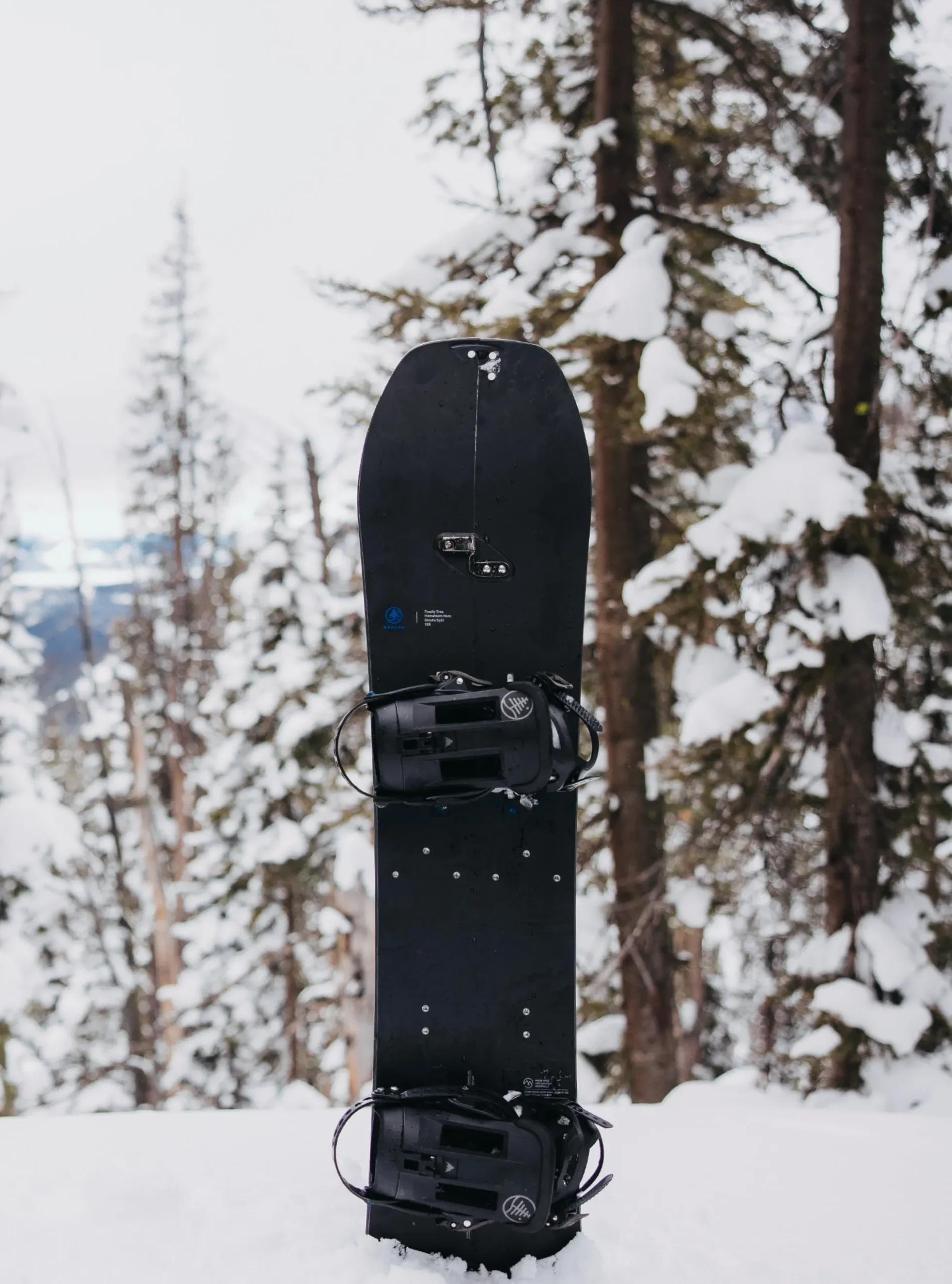 Family Tree Hometown Hero Smalls Splitboard für Kinder